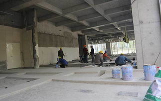 房屋加固程序怎么走