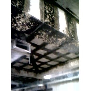 聊城房屋碳纖維加固修補-企匯網(wǎng)